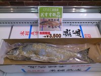 トピックス トピックス