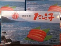トピックス トピックス