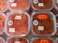 新着情報