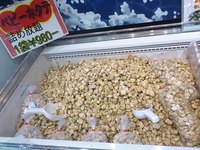 新着情報