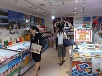 新着情報