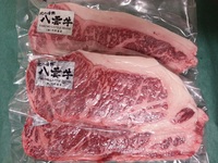 新着情報